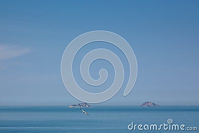 Two islands in the sea and flying seagull. Islands YassÄ±ada and Sivriada Stock Photo
